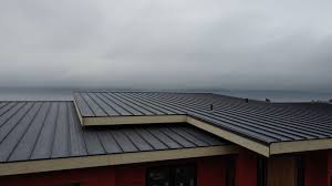 Best Green or Eco-Friendly Roofing Solutions  in Port Neches, TX